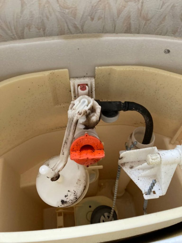 レバーとフロートバルブをつなぐ鎖の写真